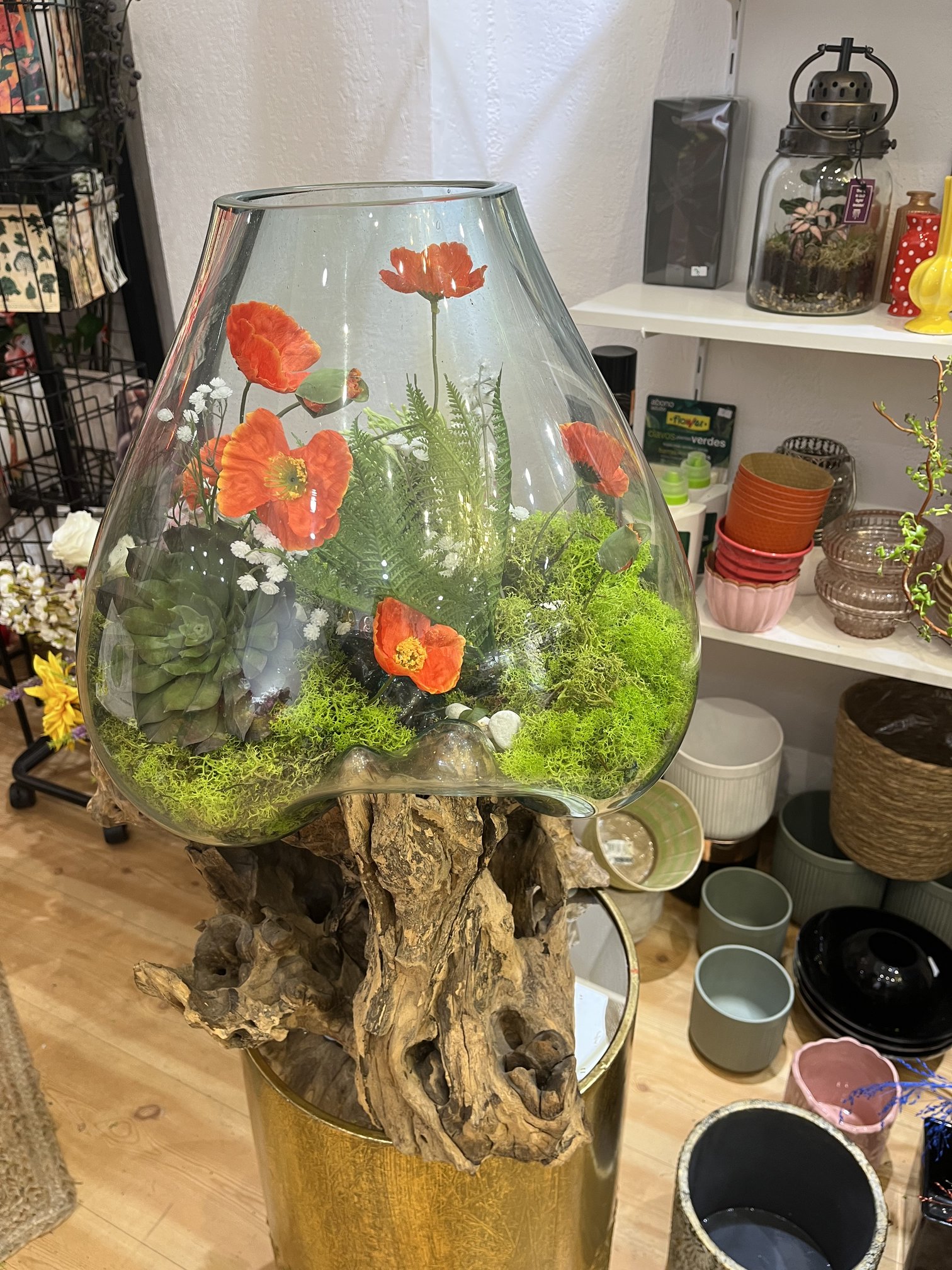 Terrarium en verre avec coquelicots artificiels et succulentes, boutique Maluna