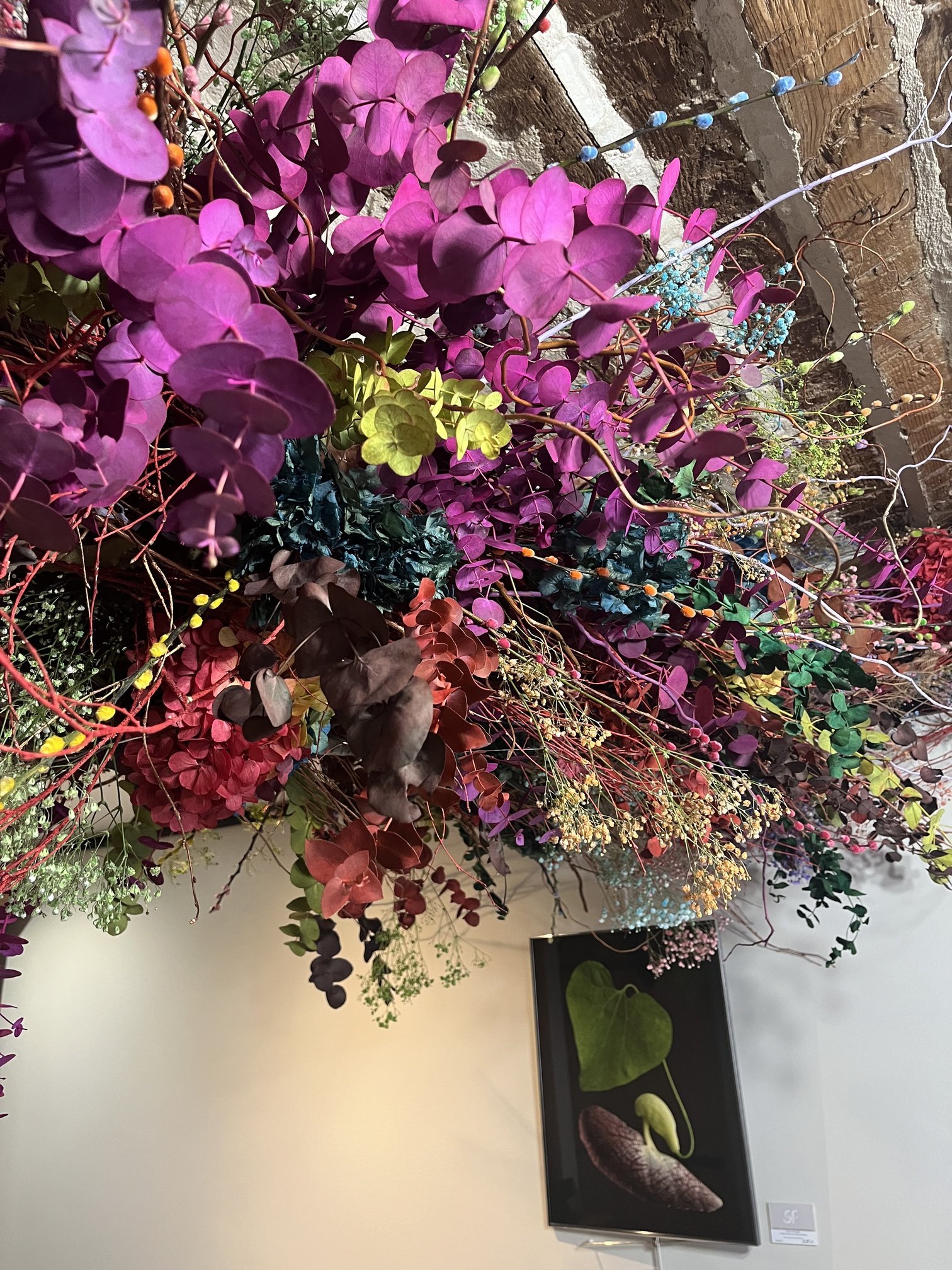Détail d'une composition de fleurs séchées multicolores au salon Le Confident Coiffeur