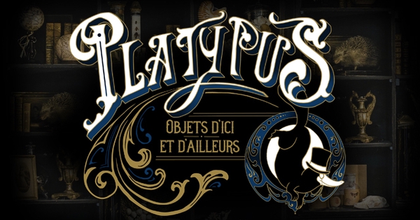 Logo Platypus, objets d'ici et d'ailleurs